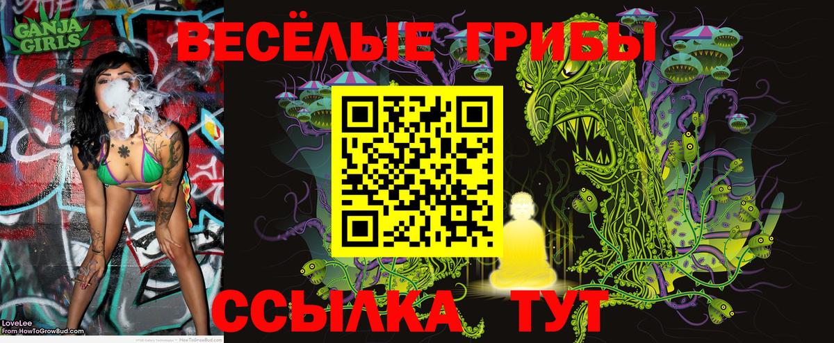 Галлюциногенные грибы GOLDEN TEACHER  Вход с VPN  Гагарин  Галлюциногенные грибы Psilocybe 